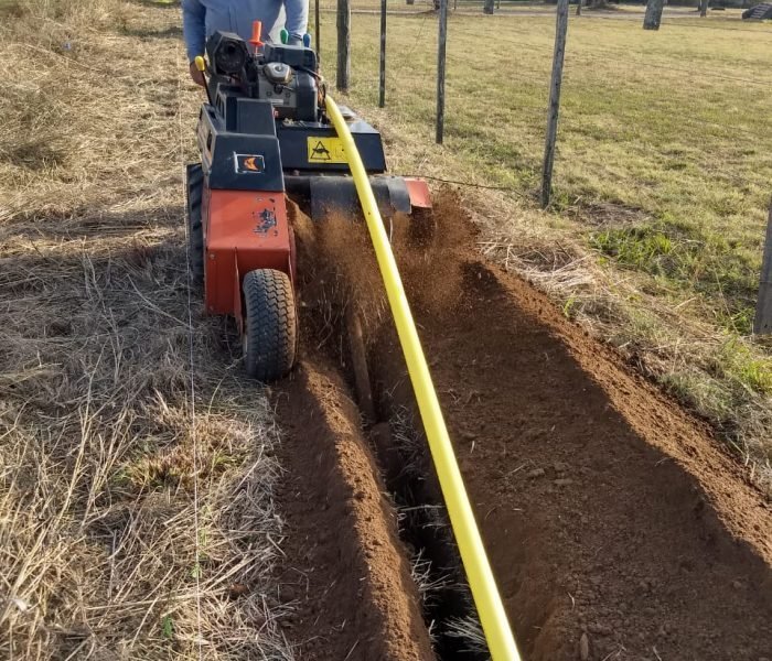 WhatsApp Image 2020-09-03 at 08.37.18